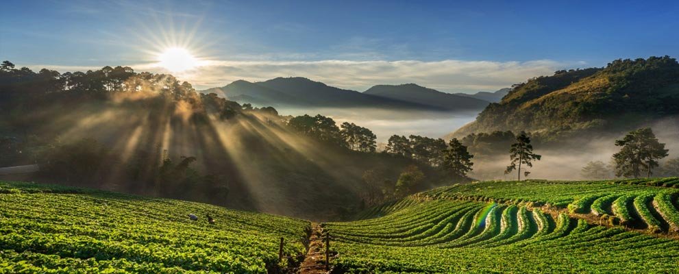 3 Days in Coorg: Coffee Trails and Nature Escape